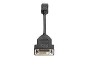 Displaykabel - HP DisplayPort till DVI-D-kabel - FH973AA