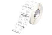 Papper, Fotopapper & Etiketter - Zebra Z Trans 5P - mat permanent selvklæ - 880026-038