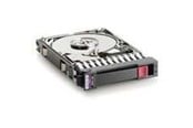 Hårddisk - HP Dual Port - 300GB - Hårddisk - 493083-001 - Serial Attached SCSI - 2,5" - 493083-001