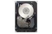 Hårddisk - IBM 1TB 2.5IN SFF HS 7.2K 6GBPS - 1TB - Hårddisk - 81Y9730 - SATA-600 - 2,5" - 81Y9730