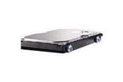 Hårddisk - HP - 1TB - Hårddisk - QK555AA - SATA-600 - QK555AA