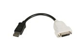 Displaykabel - StarTech.com DisplayPort till DVI Video Converter - bildskärmsadapter - DP2DVI