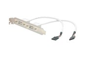 Strömkabel (intern) - StarTech.com 2 Port USB A hona Low Profile Slot tavla Adapter - USBPLATELP