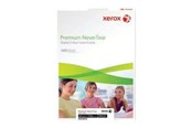 Papper, Fotopapper & Etiketter - Xerox Premium NeverTear - A4 | 262 g/m² | 100 sheets | Laser - 003R98092