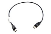 Displaykabel - Lenovo DisplayPort-kabel - 0.5 m - 0B47396