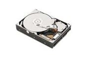 Hårddisk - IBM - 1TB - Hårddisk - 81Y9731 - SATA-600 - 2,5" - 81Y9731