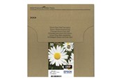 Skrivartillbehör-bläck-toner - Epson T1806 Easy Mail Packaging - C13T18064511
