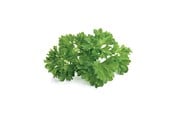 Smarta Hem - Click & Grow Smart Garden Refill 3-pack - Persilja - SG-011