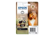 Skrivartillbehör-bläck-toner - Epson 478XL - High Capacity - Grey Ink - C13T04F64010