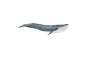 Schleich - Schleich Blåval - 14806