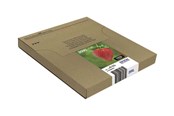 Skrivartillbehör-bläck-toner - Epson Multipack 29XL EasyMail - C13T29964511