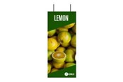 Konferens & Presentation - OKI FASTDISPLAY - 09006050