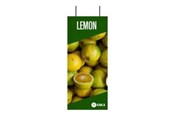Konferens & Presentation - OKI FASTDISPLAY - 09006050