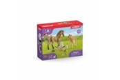 Schleich - Schleich Hästklubb Saras smådjursavdelning - 42432
