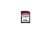 Flashram & USB Flash Drives - Transcend 300S SD - 100MB/s - 256GB - TS256GSDC300S