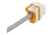 Nätverks tillbehör - Deltaco MD-123 Cat6A Keystone jack toolless plastic white/orange - MD-123