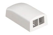 Nätverks tillbehör - PANDUIT Netkey 2-position surface mount box - NK2BXAW-A