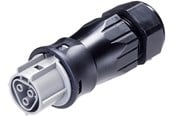 Kablar och ledningar - Wieland Rst25i3 plug female 3-pol 250v/32a 0.75-6mm2 ø=13-18mm grey - 96.031.4554.3