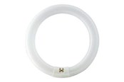 Glödlampor - Philips Fluorescerande glödlampa Master TL-E Cirkular 40W/840 G10q - 928027484070