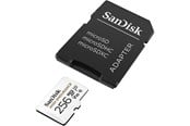 Flashram & USB Flash Drives - SANDISK High Endurance microSD/SD - 100MB/s - 256GB - SDSQQNR-256G-GN6IA