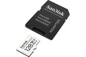 Flashram & USB Flash Drives - SANDISK High Endurance microSD/SD - 100MB/s - 128GB - SDSQQNR-128G-GN6IA