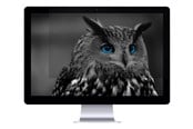 Skärm - Natec OWL - NFP-1478