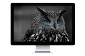 Systemtillbehör - Natec OWL - NFP-1478