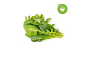 Smarta Hem - Click & Grow Smart Garden Refill 9-pack Green Sallad Mix - PPMSAX9