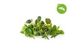 Smarta Hem - Click & Grow Smart Garden Refill 9-pack Italian Herbs Mix - PPMIPX9