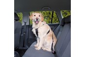 Hundar - Trixie Car Harness Safety Belt M 50-70cm/25 mm Stomach Circum 50-70cm - TX1291