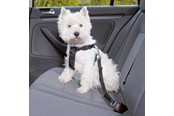 Hundar - Trixie Car Harness Safety Belt S 60-60cm/25 mm Stomach Circum 60-60cm - TX-1290