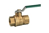 Beslag - Pettinaroli Corrosion resistant ball valve 1 - 51NDAV-008