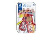 Skriv- och ritverktyg - Staedtler Coloured pencil hexagonal 36pc - 175 M36