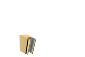 Dusch och monteringstillbehör - Hansgrohe shower holder porter s polished gold-optic - 28331990