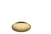 Dusch och monteringstillbehör - Hansgrohe croma overhead shower 280 1jet polished gold-optic - 26220990