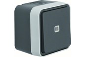 Switch-enheter - Berker Illuminated change over switch lens grey w1 - 30763525