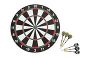 Trädgårdsspel - Dartspel med 6 pilar - 93132
