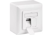 Tillbehör (Fästen, uttag etc.) - Pro CAT 6 universal wall plate incl. on-wall mounting - 4040849682445