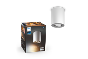 Smarta Hem - Philips Hue Pillar Singel Spotlight - Vit - Utan Dimmer Switch - 929003811301