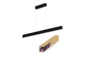 Smarta Hem - Philips Hue Ensis (Svart) White & Color Ambiance Takpendel - 929003052501
