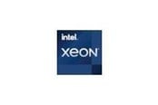 CPU - Intel Xeon 3.4 GHz processor CPU - 4 kärnor - 3.4 GHz - Intel LGA1200 - Bulk (utan kylare) - CM8070804495913