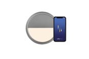 Smarta Hem - Nordlux Ava Smart Plafond Grå - 2019016010