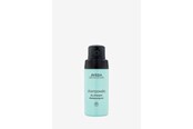 Hårvård - Aveda Shampure Dry Shampoo - 018084016107