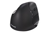 Mus - Evoluent Vertical Mouse 4 - Vertical mouse - 6 knappar - Svart - BNEEVR4BB