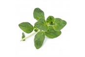 Smarta Hem - Veritable Lingot Organic Oregano - VLIN-A10-Ori00C