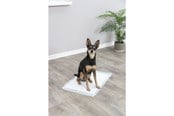 Hundar - Jolly Paw Hygieniska valpmattor Puppy Pads 40x60cm (7-pack) - JP26000