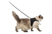 Katter - Trixie Soft harness cat with leash XXL 36–54 cm 1.20 m black - TX41895