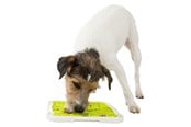 Hundar - Trixie Lick'n'Snack Tallrik 20x20cm - TX34952