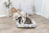 Gnagare - Trixie Gosbädd Sunny för Små Djur Kaniner - TX62803