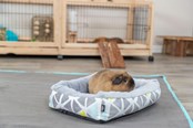 Gnagare - Trixie Gosbädd Sunny för Små Djur Marsvin Små Kaniner - TX62802